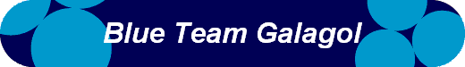  Blue Team Galagol 