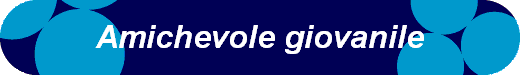  Amichevole giovanile 